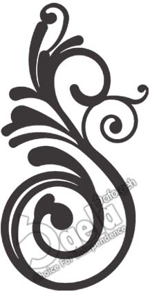 گل نرده مرسانا - صافورژه مرسانا