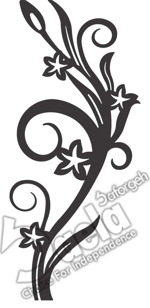 گلنرده آروشا گلنرده آروشا